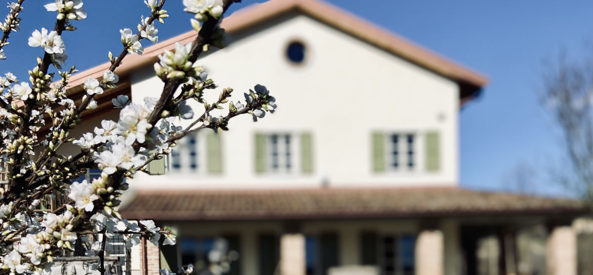 Primarosa Country House